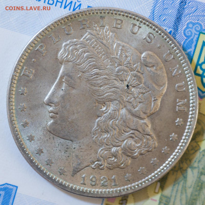 Доллары Моргана США 1984-О, 1985-О, 1921. Оценка - KONZ6400