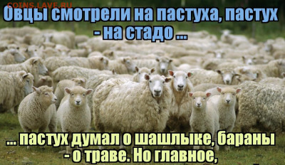 N-CoV(CoronaVirus) КоронаВирус.Последние новости - 0869232001507891869 (2)