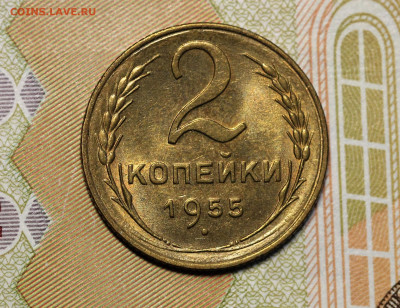 Двушки 52-57 неплохие, оценка. - IMG_5123.2