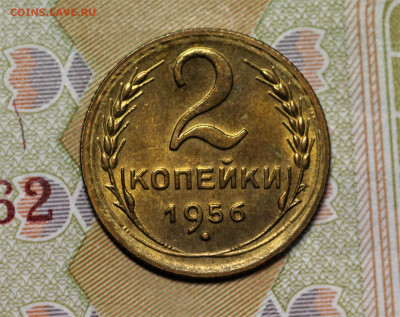 Двушки 52-57 неплохие, оценка. - IMG_5120.2