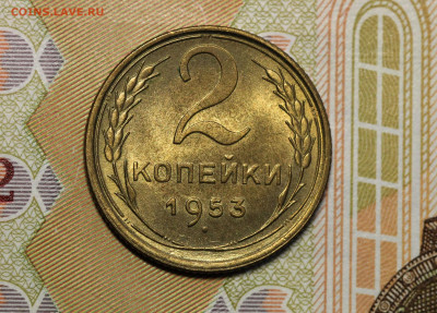 Двушки 52-57 неплохие, оценка. - IMG_5117.2