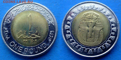Египет - 1 фунт 2008 года (БИМ) до 19.05 - Египет 1 фунт, 2008