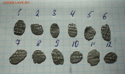 Чешуя двойной удар, или брак. - DSC00129.JPG