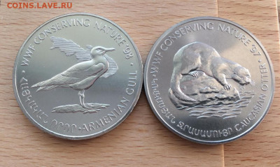 Армения 100 драм 1998 Армянская Чайка Птицы WWF фауна - armenija_100_dram_1998_armjanskaja_chajka_pticy_wwf_fauna_fond_dikoj_prirody_shajba_redkost_s_1_rublja (2)