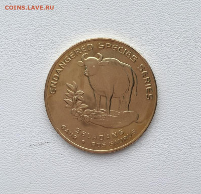 Малайзия 25 сенов сен 2003 Вымирающие виды - Гаур Животные - malajzija_25_senov_sen_2003_vymirajushchie_vidy_gaur_zhivotnye_fauna (2)