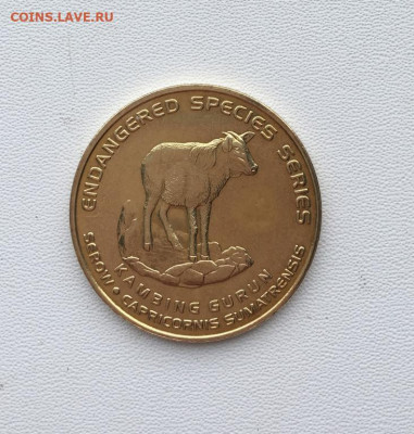 Малайзия 25 сенов 2003 Вымирающие виды Cуматранский козел - malajzija_25_senov_sen_2003_vymirajushchie_vidy_cumatranskij_kozel_zhivotnye_fauna (2)