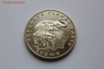 Гибралтар 1 крона 1994 Слоны UNC до 18.05 - IMG_0511.JPG