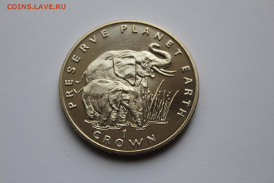 Гибралтар 1 крона 1994 Слоны UNC до 18.05 - IMG_0510.JPG