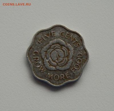 Британские Сейшельские острова 5 центов 1972 г. до 21.05.20 - DSCN9925.JPG
