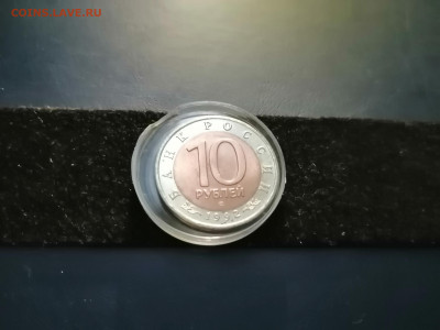 10 р Красная книга краснозобая казарка до 19 мая 22-00 - IMG_20200515_183307