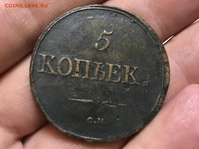 5 копеек 1837 года, СМ. До 19.05.20 - 53820674-EFA9-4C07-9209-CADC14D79931