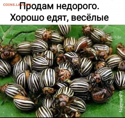юмор - i