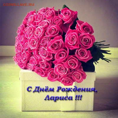 ___Лариса___, с Днём Рождения !!! - 03f5788f750b2853cf6bcb8450b89543