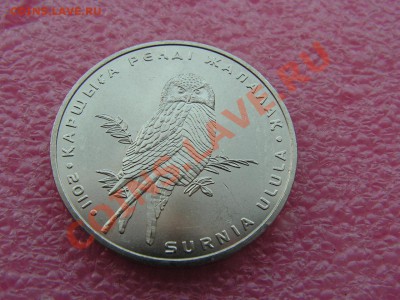 -Казахстан- 2011 и не только - Жапалак-45р.JPG