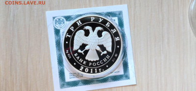 3 Рубля 2011 Сохраним наш мир ЛЕОПАРД до 24.05 22.10 - IMG_20200318_131001