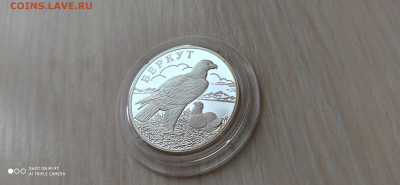 Красная книга 1 Рубль 2002 БЕРКУТ до 24.05 22.10 - IMG_20200329_064135