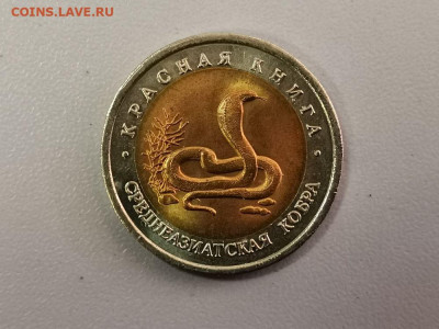 Красная книга: 10р 1992г. Среднеазиат. кобра, до 24.05 - СЧ Кобра мешк-1