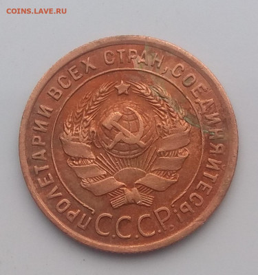 1 копейка 1924 года . Ости ? - IMG_20200519_190716