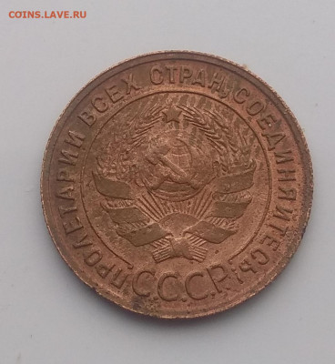 1 копейка 1924 года . Ости ? - IMG_20200519_190815