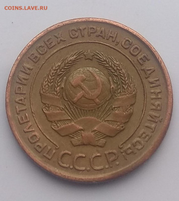 1 копейка 1924 года . Ости ? - IMG_20200519_184502