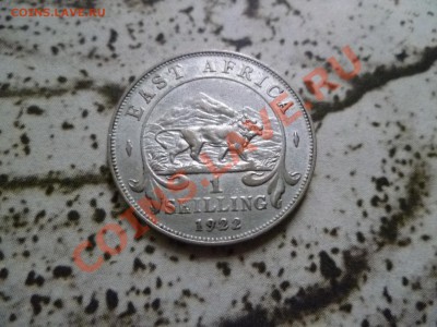 Ag Брит. Восточная Африка шиллинг 1922 до 07.09.11 в 22.00 - P1010696.JPG