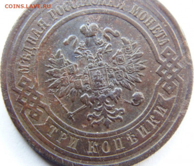2 копейки 1902 Предпродажная тема. - DSC08145.JPG