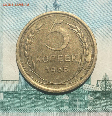 5 копеек 1955 года. UNC, до 26.05.2020г в 22:00 - 302D5C5D-152D-4D46-8CB3-EF2BFA95A59E