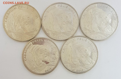 5 ШТУК Казахстан Манул с 200р до 25.05.2020 в 22.00 - манул