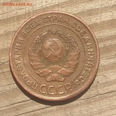 1 копейка 1924 года . Ости ? - IMG_20200521_164735