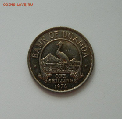 Уганда 1 шиллинг 1976 г. (Фауна). до 28.05.20 - DSCN0026.JPG