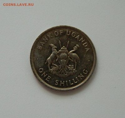 Уганда 1 шиллинг 1976 г. (Фауна). до 28.05.20 - DSCN0027.JPG