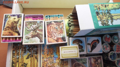набор спичек "Русский лес" оценка - DSCF4181.JPG