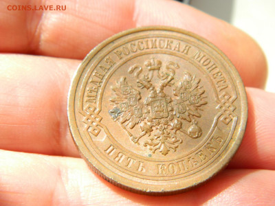 5 копеек 1911 года СПБ  до 24.05.2020 22-00 - DSCN5837