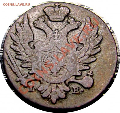 C52 Польша 1 грош 1824 г. №2 до 09.09 в 22° - C52 1 grosh 1824_4