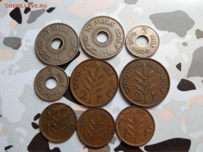 Палестина 1920е-1940е ФИКС до 23.05 - IMAG6957_2