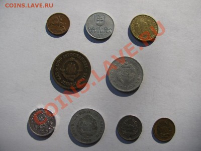 Солянка 6-ти стран Европы до 07.09.11 - IMG_0589.JPG