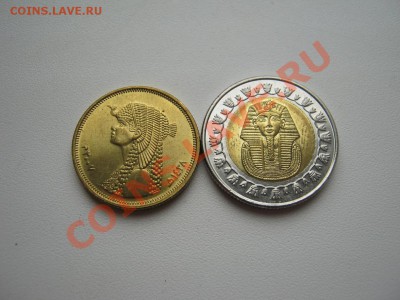 САМЫЕ ДОСТОЙНЫЕ ФОРУМЧАНЕ 2009года. - 4.JPG
