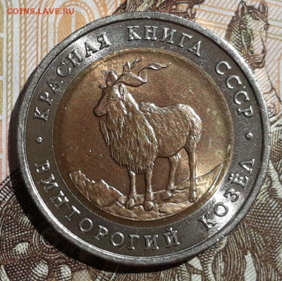 5р.1991г.Козел низкий старт короткий аук до26.05.20 22:00мск - 20200524_112113