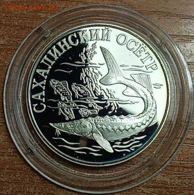 1 Рубль 2001 Сахалинский Осётр - gR8y023QhjI