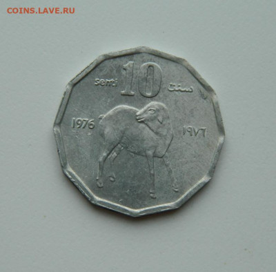 Сомали 10 центов 1976 г. (Фауна)без обращения  до 28.05.20 - DSCN9996.JPG