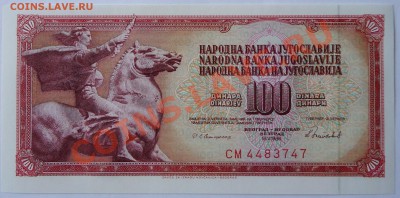 Боны ПРЕСС - DSC00780.JPG