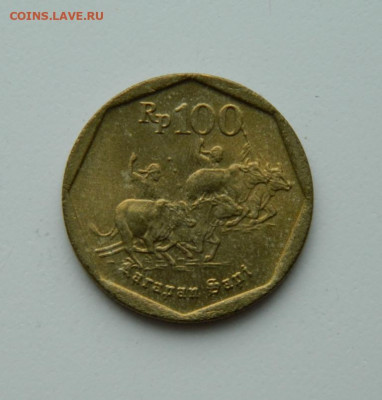 Индонезия 100 рупий 1993 г. (Гонки на быках). до 28.05.20 - DSCN9935.JPG