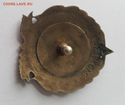 Знак за эспедицию на о-ва Врангеля 1924 Ссср 84" пробы - Z8