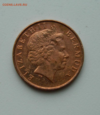 Бермудские острова 1 цент 2008 г. (Фауна). до 28.05.20 - DSCN9950.JPG