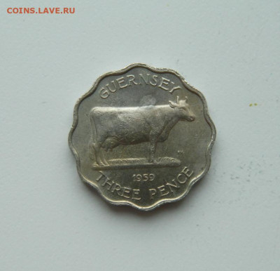 Гернси 3 пенса 1959 г.(Корова). до 28.05.20 - DSCN9972.JPG
