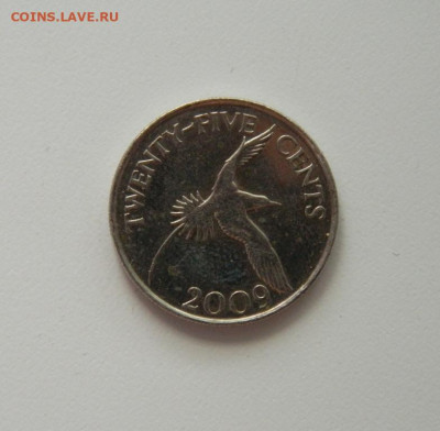 Бермудские острова 25 центов 2009 г. (Фауна) до 28.05.20 - DSCN0087.JPG