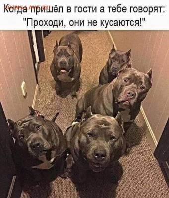 юмор - i (4)