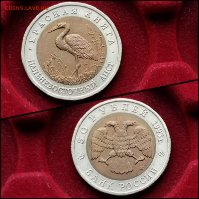 Дальневосточный Аист 50 рублей 1993. Хороший. До 01.06 - IMG_20200324_204525