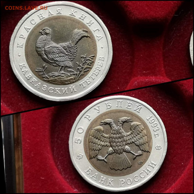 Кавказский Тетерев 50 рублей 1993. Хороший. До 01.06 - IMG_20200324_204520