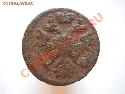 Денга 1737 Года. Окончание в 21.30, 10.09.11. - 75.JPG